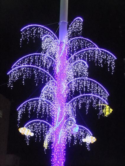 幸せを呼ぶとされるカツオくんを探そう！！ 約7万個のLED電飾が美しい