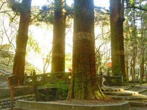 20069
