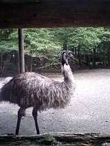 花鳥園⑦