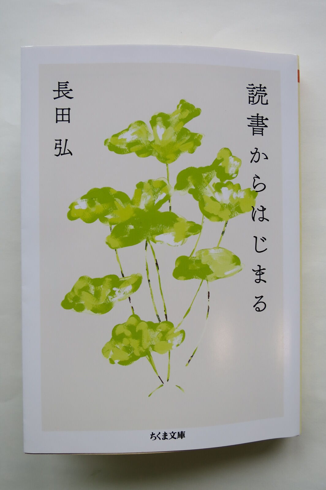 朱雀の洛中日記 朱雀の洛中日記