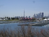 Marina CN Tower#7156