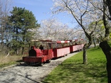 Cherry train7397