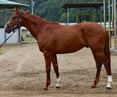 195c42
