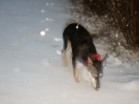 Tシャツ一枚で8ビットゾンビに変身