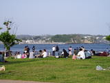 ������