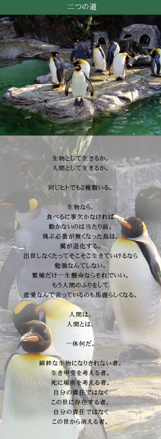 �������Υڥ󥮥�