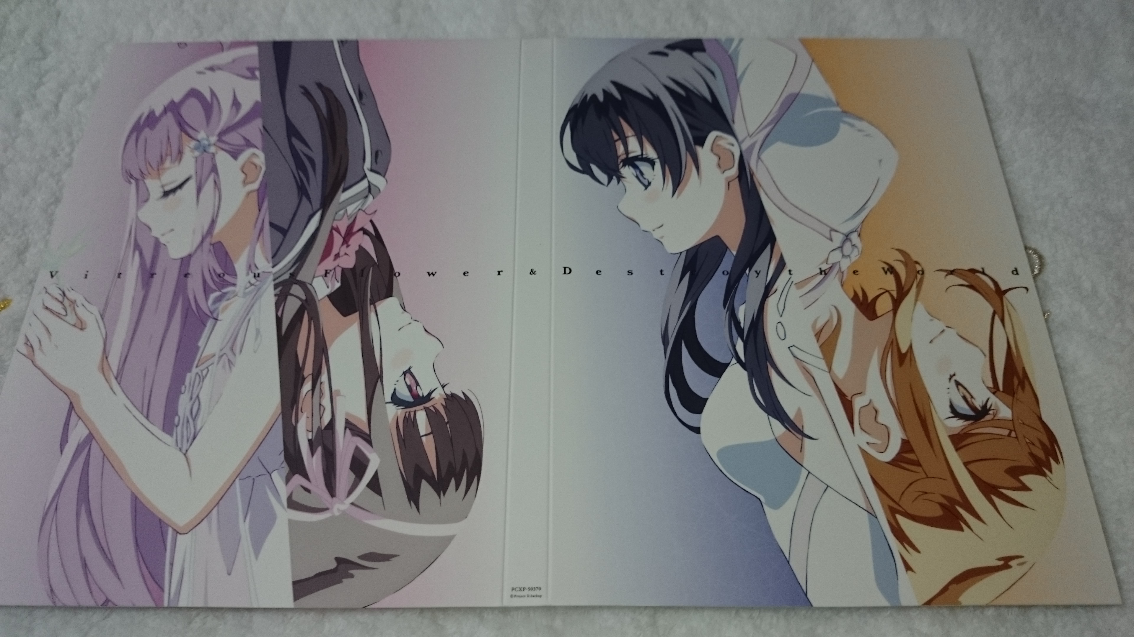 ガラスの花と壊す世界 Premium Edition 買いました ラジオのノイズ 知らない言葉 ガラスの花と壊す世界 Premium Edition 買いました ラジオのノイズ 知らない言葉