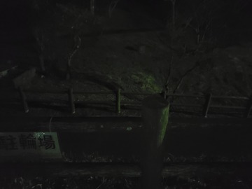 20190202_183922