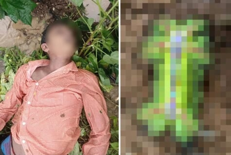 【閲覧注意】村で起きた無差別殺人事件、犯人はこの「正体不明の生物」だった…