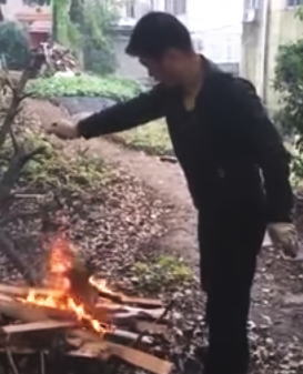 【閲覧注意】生きた小犬を焚き木で丸焼きにしようとする男性の映像。