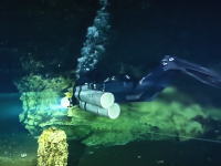 海水と淡水が綺麗に上下に分かれた不思議な水中洞窟に潜る。