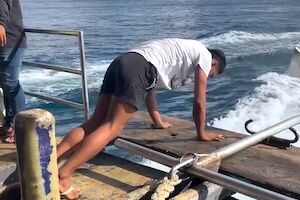 【動画】そのうち手を飛ばしてしまいそうな危険なお仕事(@_@;)