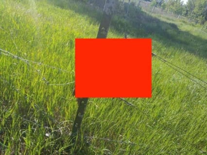 【閲覧注意】夜間 ”ロシア側” に侵入しようとしたウクライナ兵、翌朝こうなって発見される…
