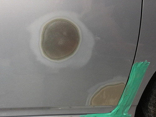 2019-06-25 10.06.430