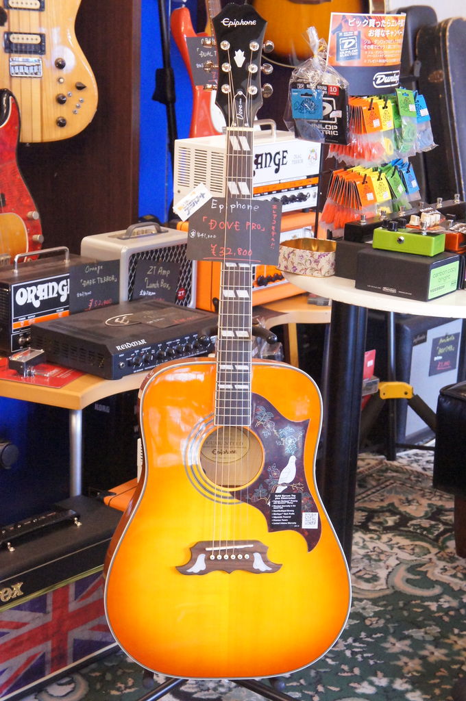 鳩の踊り Epiphone / DOVE PRO : 松栄堂楽器【燃えよギター】