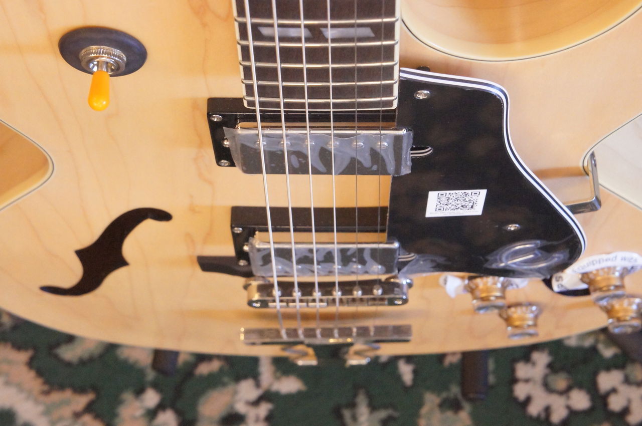 ES-175 Epiphone フルアコースティックギター 店頭販売品】Epiphone フルアコギター LTD ES-175 Premium/EB - 仙台