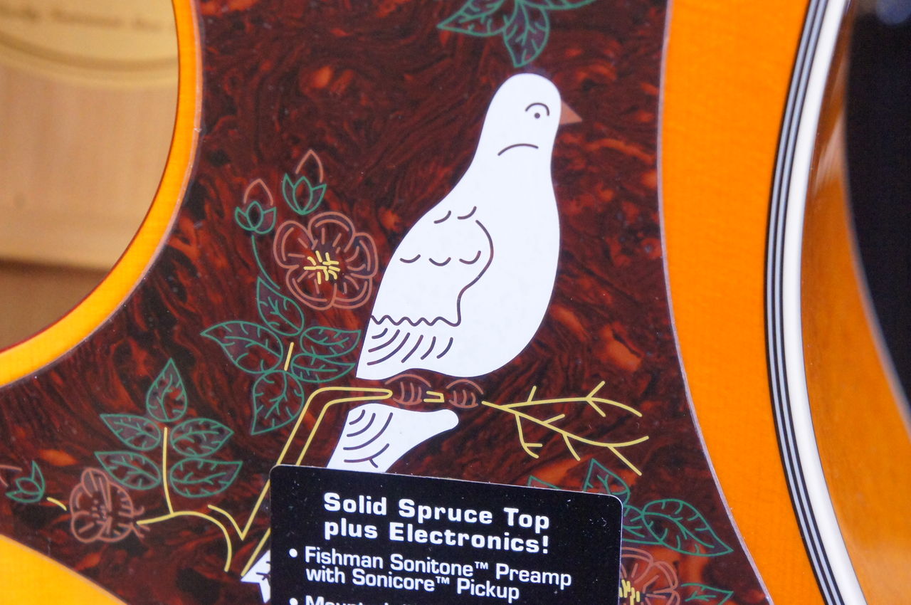 【紹介文は見て】Epiphone Dove Pro 幸せを運ぶ鳩の調べ 鳩の踊り Epiphone / DOVE PRO : 松栄堂楽器【燃えよギター】