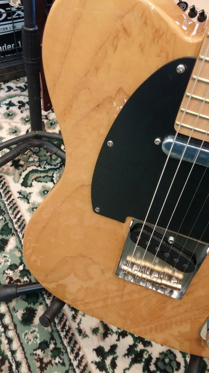 FUJIGEN この2本を見逃すなあああああ : 松栄堂楽器【燃えよギター】