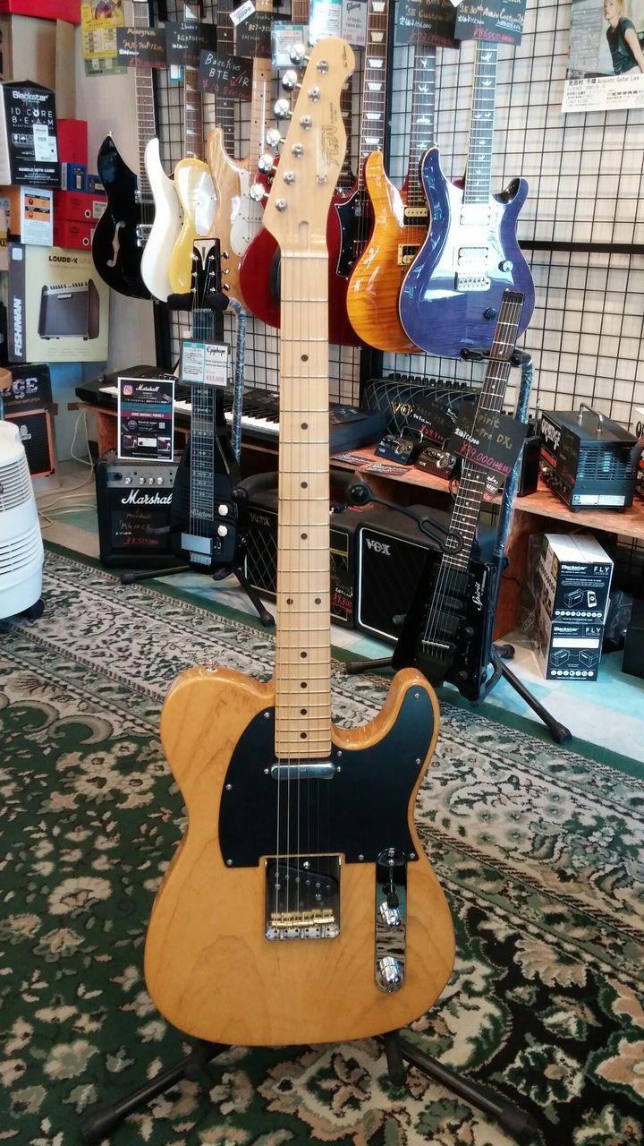 FUJIGEN この2本を見逃すなあああああ : 松栄堂楽器【燃えよギター】