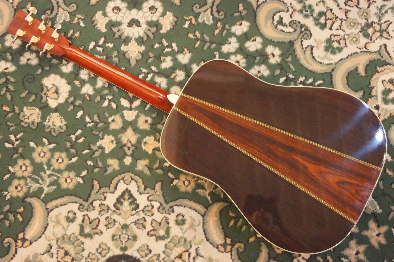 よく鳴る Morris / TF-810【中古】 : 松栄堂楽器【燃えよギター】