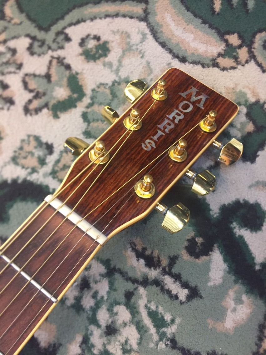 安価中古アコギのご紹介。Morris / MD-516【中古】 : 松栄堂楽器 