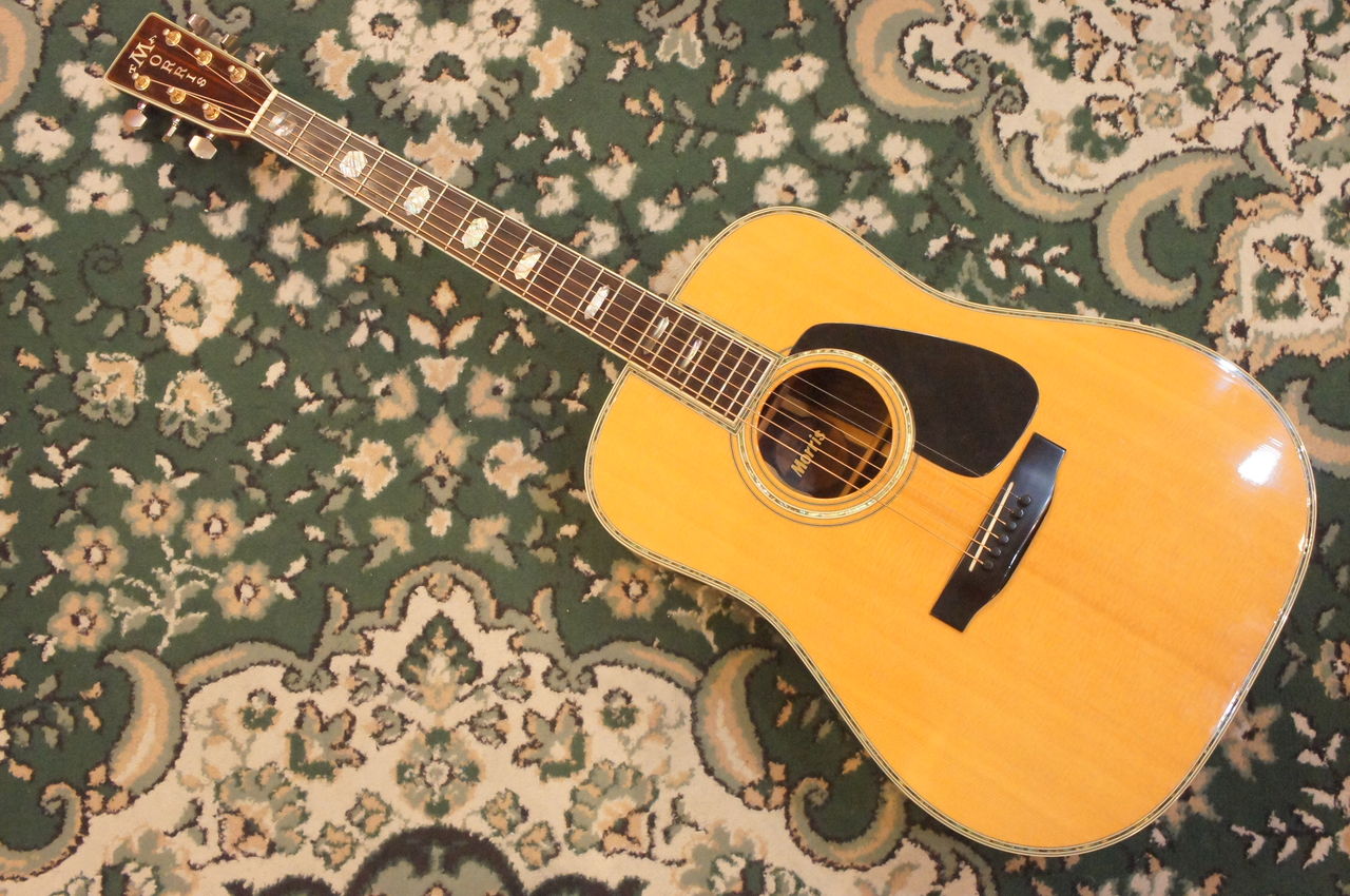 Morris ギター 信州ギター祭り2024展示ギター Morris SC711 TOP : ジャーマン