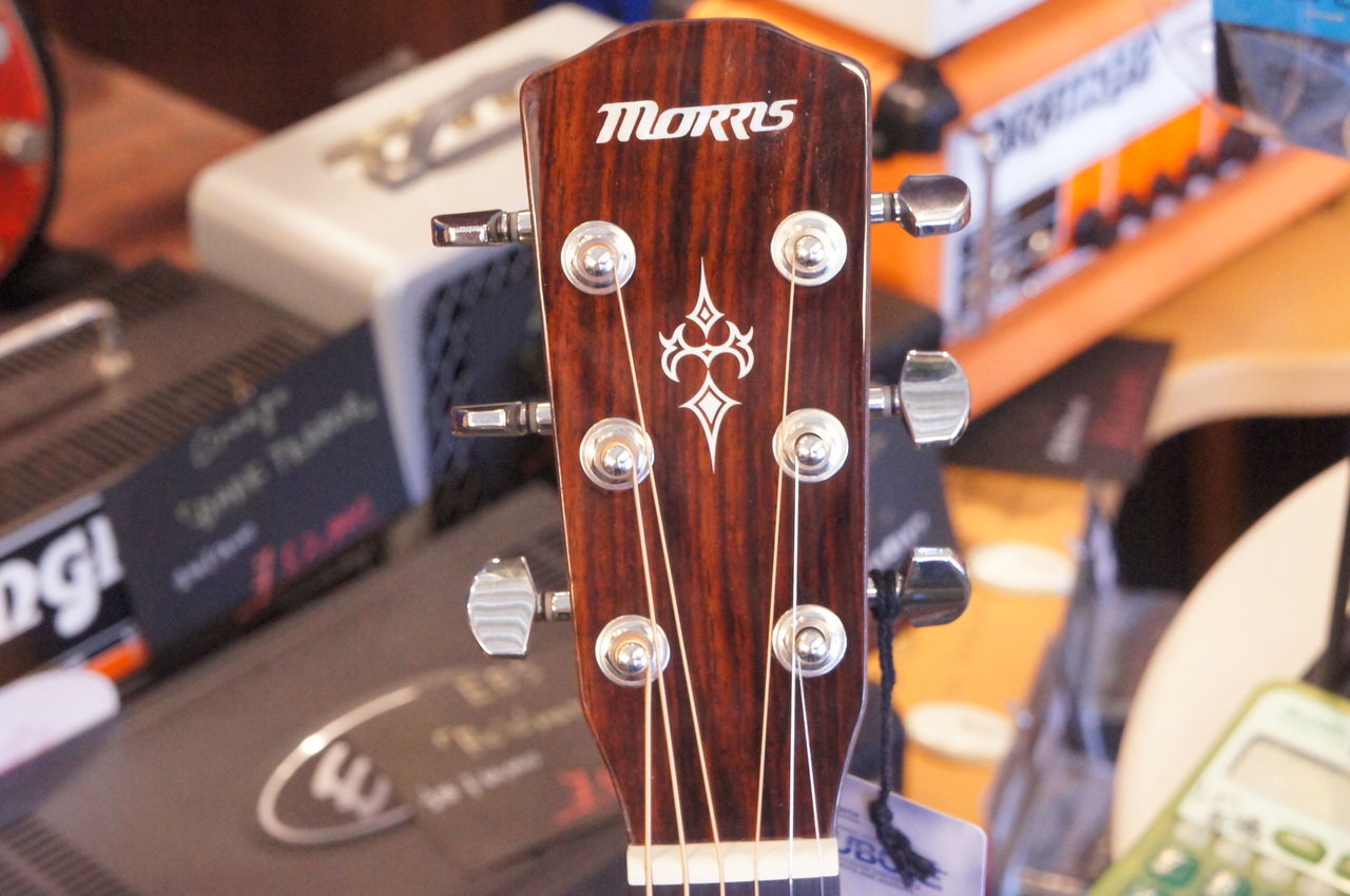 ギターを始められる方へ Morris / F-351 : 松栄堂楽器【燃えよギター】