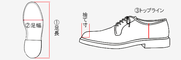 sizeq2