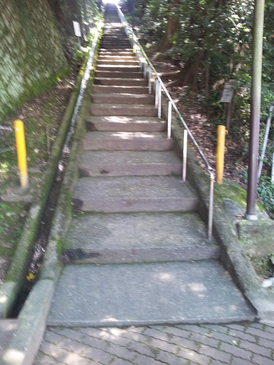 男山 北側階段 鬼階段ダッシュ 山猿小ちゃんのblog 男山 北側階段 鬼階段ダッシュ 山猿小ちゃんのblog