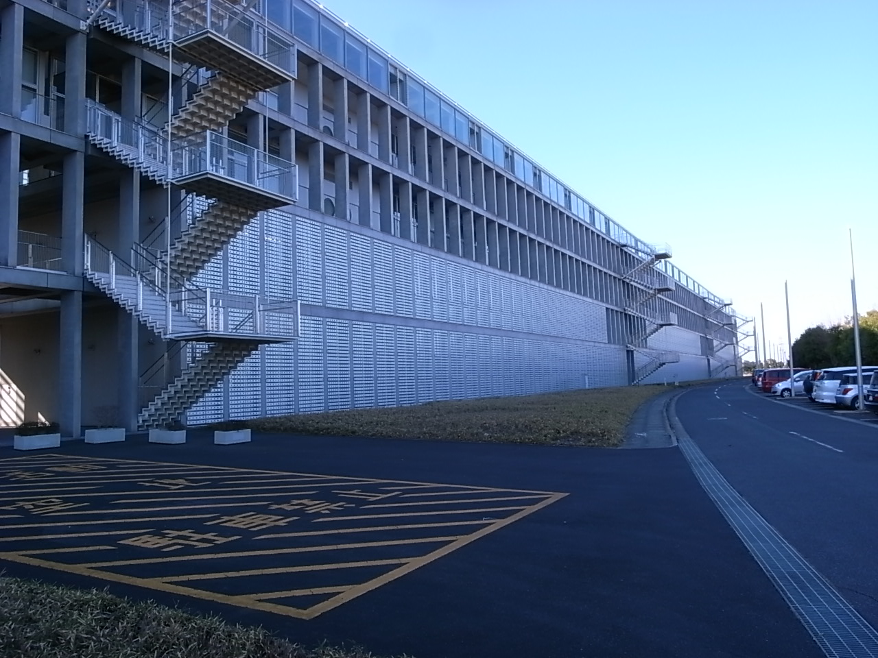 埼玉 県立 大学