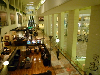 P1000035