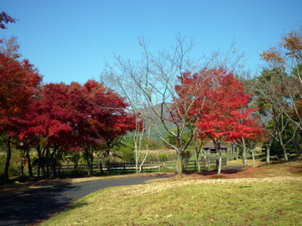 P1030707