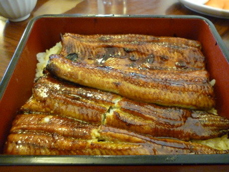 P1030088