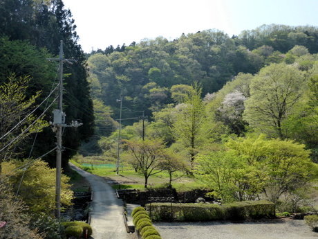 P1040310