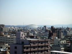 Komadori-Shimai 252