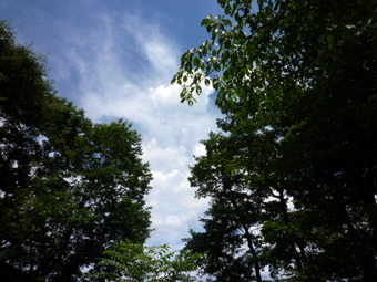 72 013