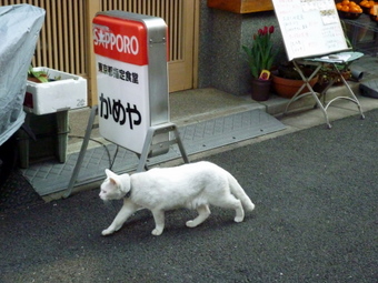 P1040327