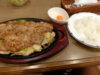 P1010098
