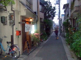 ���齻��ϩ��