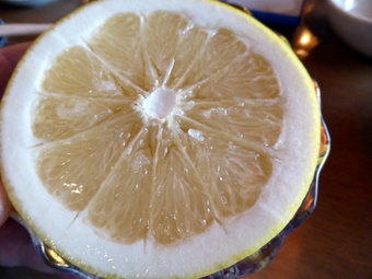 P1010586