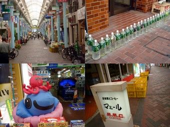 2010 Autumn Nasuchin