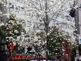 Komadori-Shimai 034