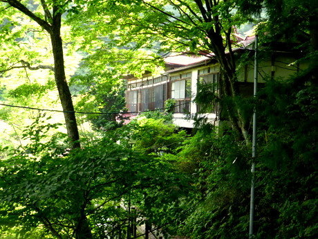 P1000371