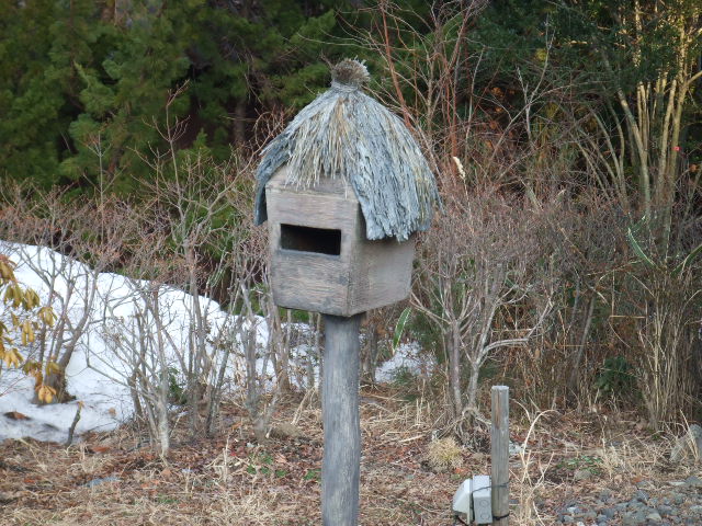 �Ų��ݥ���