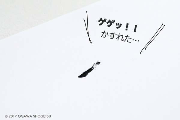 筆ペン準備_9239