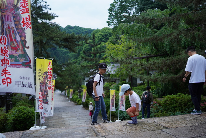 DSC06190