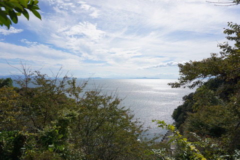 DSC02105