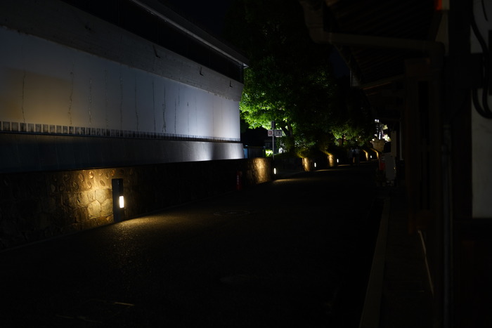 DSC09771