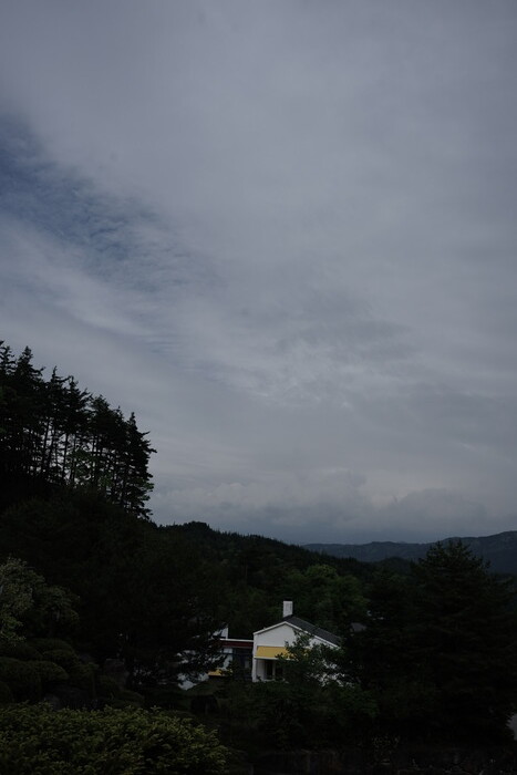 DSC09919