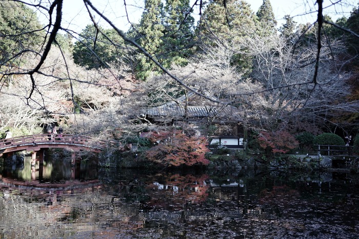 DSC02218
